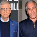 Les dossiers Epstein révèlent une architecture de 20 ans derrière les pandémies utilisées comme modèle économique, avec Bill Gates au centre du réseau.